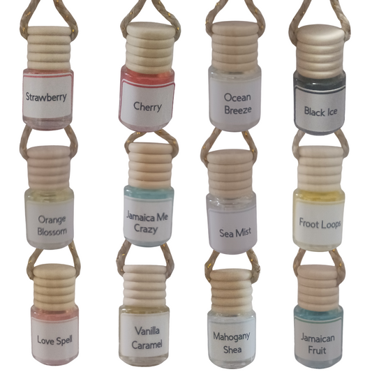 12pcs Car Air Freshener Set - Reusable Oil Diffusers with 12 different Scents, Long-Lasting